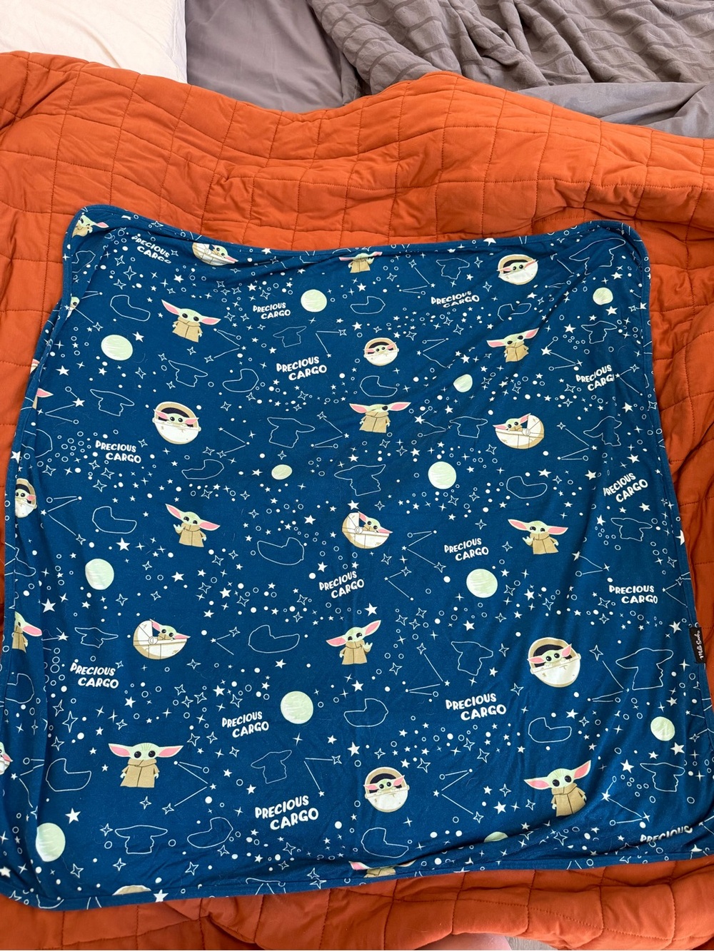 Milksnob Star Wars The Child "Precious Cargo" 34x34 Baby Blanket
